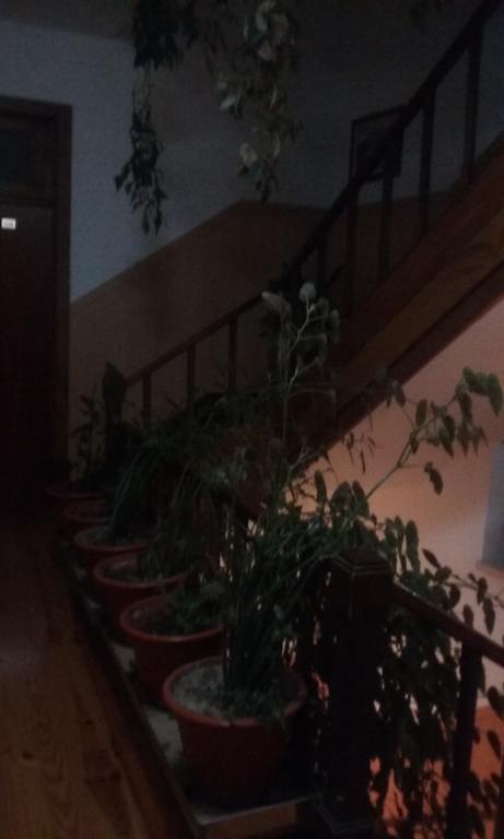 Pensao Avenida Hotel Penacova Bagian luar foto